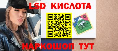 2c-b Кингисепп