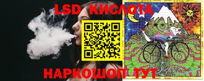 шишки Кимры