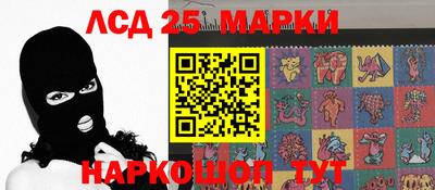 2c-b Кингисепп