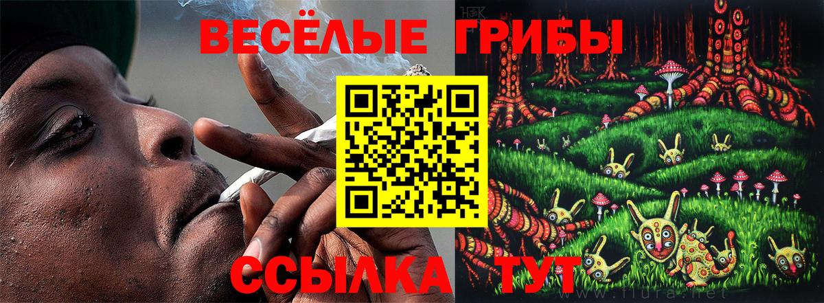 Галлюциногенные грибы Magic Shrooms  Вход с VPN  Псилоцибиновые грибы Cubensis  Кубинка 