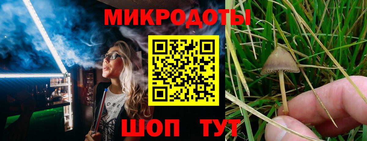 Псилоцибиновые грибы мицелий Кубинка