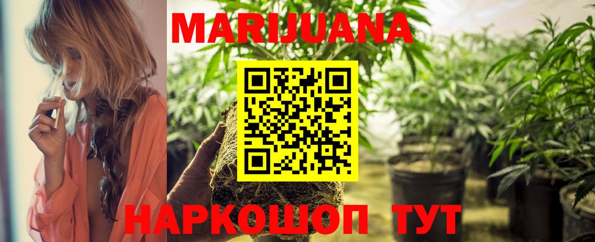 Конопля конопля  Бошки Шишки семена  Конопля ГИДРОПОН  Кубинка  Вход с VPN 